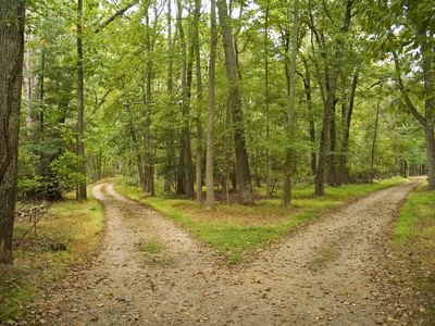 What Diversionary Programs are Offered in South Carolina?